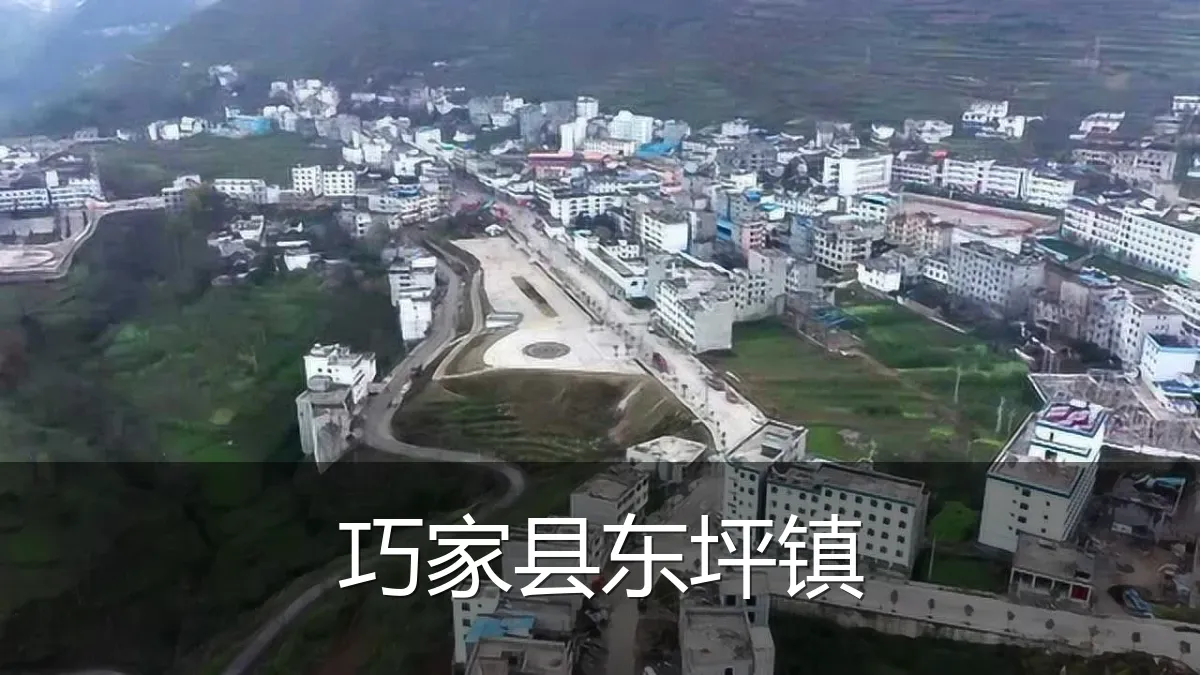 巧家县东坪镇