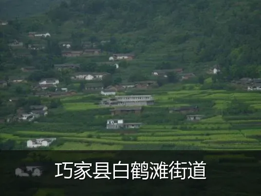 巧家县白鹤滩街道
